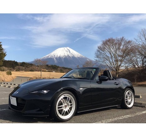 RPF1,16X7,35,4X100,73,SILVER