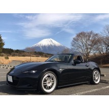 RPF1,16X7,35,4X100,73,SILVER