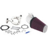 admission FIPK HARLEY DAVIDSON SOFTAIL/DYNA FI, 01-14, BRIGHT
