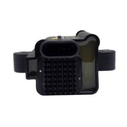 Bobine d'Allumage "Smart" Haut Rendement AEM
