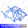 Arceau AST Rollcages V5 Audi A3