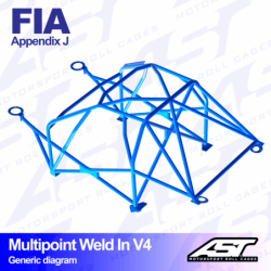 Arceau AST Rollcages V4 Ford Fiesta