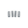 RacingLine Kit ressorts sport VWR31F020