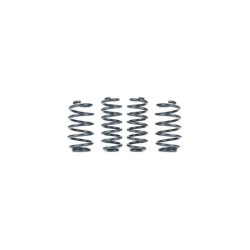 RacingLine Kit ressorts sport VWR31TR01