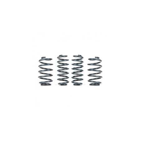 RacingLine Kit ressorts sport VWR31UPGT