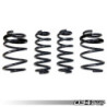 Spring Set 034 motorsport pour 8V A3/S3 Non Mag