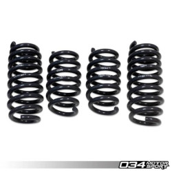 Springs 034 motorsport pour Set 034 motorsport pour R8 Mk1