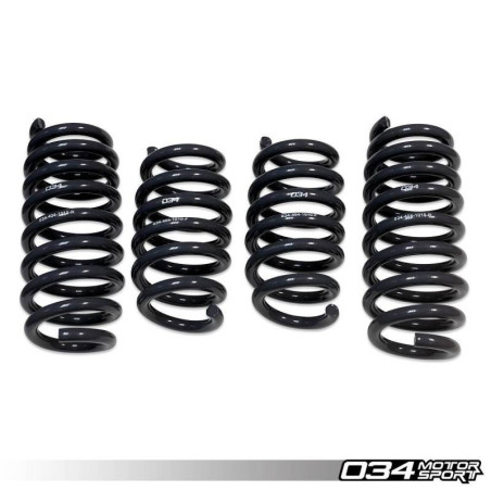 Springs 034 motorsport pour Set 034 motorsport pour R8 Mk1