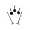 VALVE SET