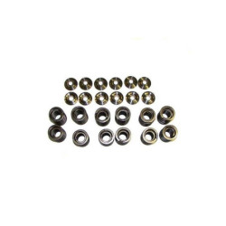 VALVE SPRING SET