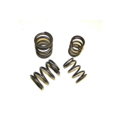 VALVE SPRING