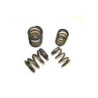 VALVE SPRING