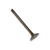 EXHAUST VALVE
