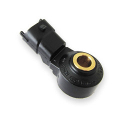 Capteur de cliquetis Bosch 0261231173
