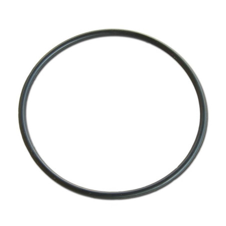 Joint torique de remplacement pour CTS HW 0199