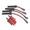 Pack allumage MSD pour Mini R50/R52/R53