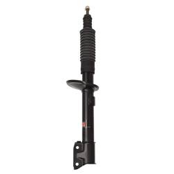 Amortisseur Duster arriere