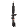 Amortisseur Duster avant