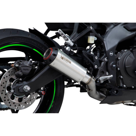 Ligne complète Red Power Scorpion Kawasaki Ninja ZX 25R 2020 2022