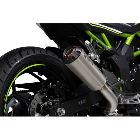 Silencieux Red Power Scorpion Kawasaki Z125 2018 2022