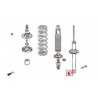 Accord 7th Honda Rear Shock silentbloc Hardrace