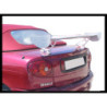 Aileron Universel Carbone Argenté Mod.I