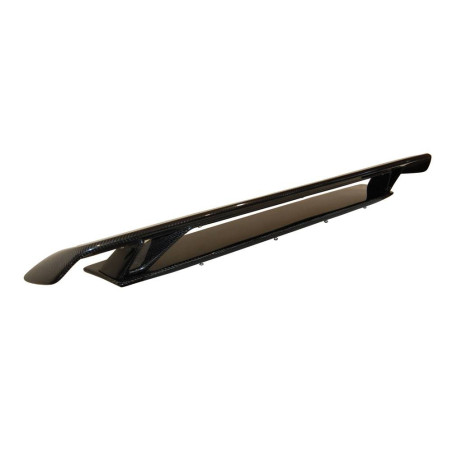 Aileron Carbone Audi TT 06-14 8J