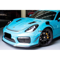 Ailette Porsche Cayman 981C 14-16 Boxster 981 13-16