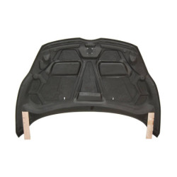 Capot Carbone Ford Fiesta 2009-2013 Hatchback