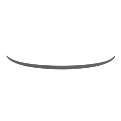 Aileron BMW F10 10-16 Look M