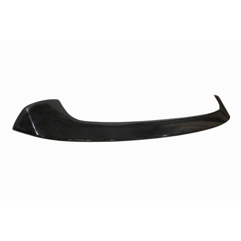Aileron Carbone BMW F20 F21