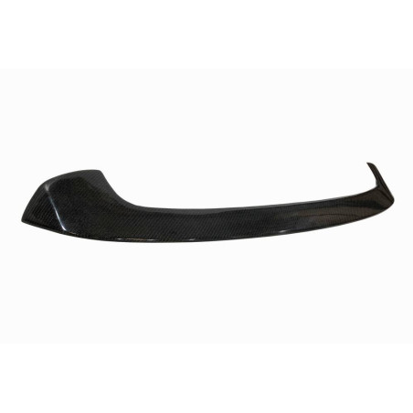 Aileron Carbone BMW F20 F21