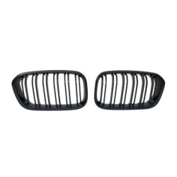 Calandre BMW F20 F21 LCI 2015-2019 II