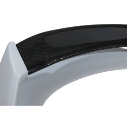 Aileron Honda Civic 2006-2014 Fn2 Type Mugen, Flat Carbone