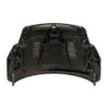 Capot Carbone Ford Focus 2008-2011 RS C T