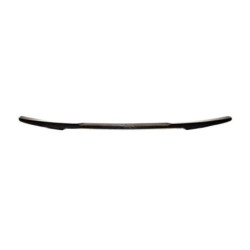 Aileron Carbone BMW F22 F87 M2