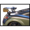 Aileron Universel Carbone Model I