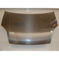 Capot Carbone Ford Fiesta '02 S T