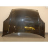 Capot Carbone Ford Fiesta '02 S T