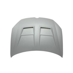 Kit De Carrosserie Volkswagen Golf 6 Look R20 Capot