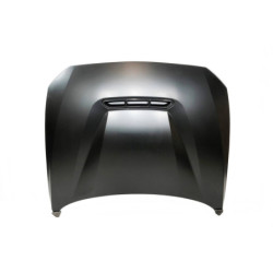 Capot BMW F20 F21 12-19 F22 F23 2014+ F87 Look M2 ALUMINIUM