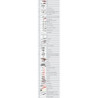 Servante Racing 6 Tiroirs Équipée de 264 Outils KS Tools
