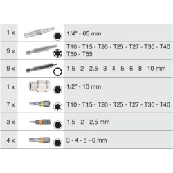 Coffret d'Embouts d'Extraction pour Vis Torx & 6 Pans