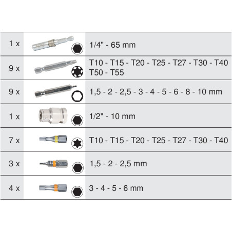 Coffret d'Embouts d'Extraction pour Vis Torx & 6 Pans