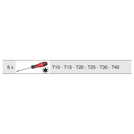 Jeu de 6 Tournevis Ultimate Torx