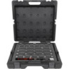Coffret Clé Dynamométrique 10-50 Nm à Emmanchement 9x12 mm 