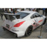 Shine Auto Project Nissan 350Z Z33 Ailes arrière élargies FRP