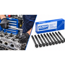 Ajusa Kit de vis de culasse Citroen Réf. 81046400