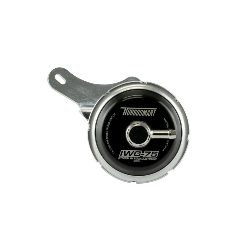 IWG75 Fiat 1.4L IHI 5psi