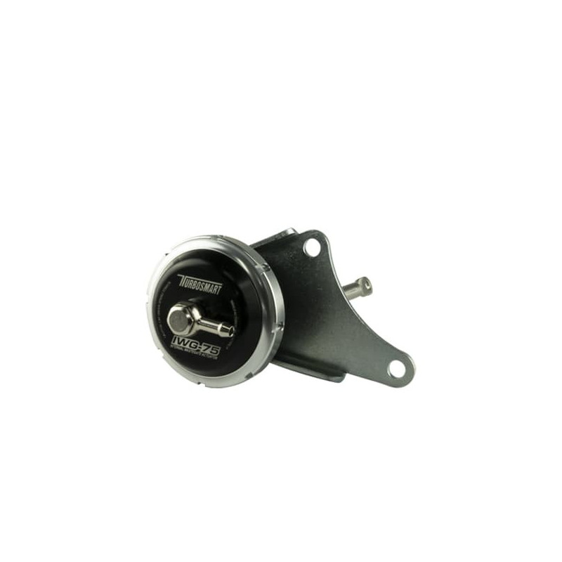 IWG75 Garrett GT2860RS (Disco Potato) Black 5 PSI